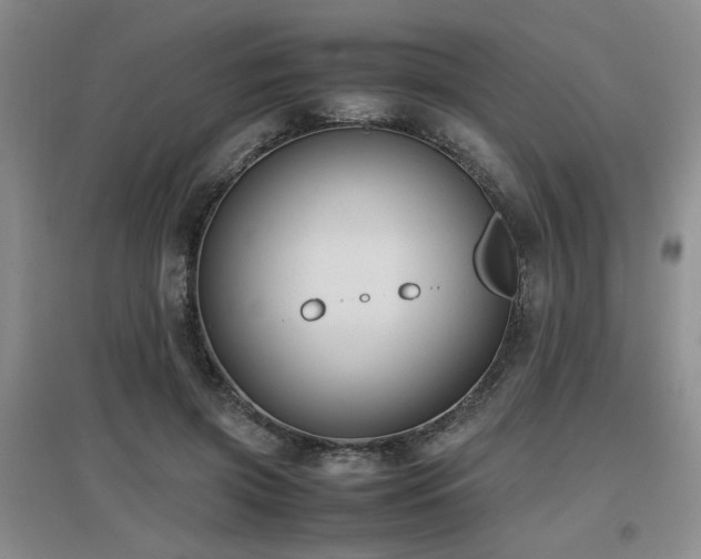 X0000097660549200802291429