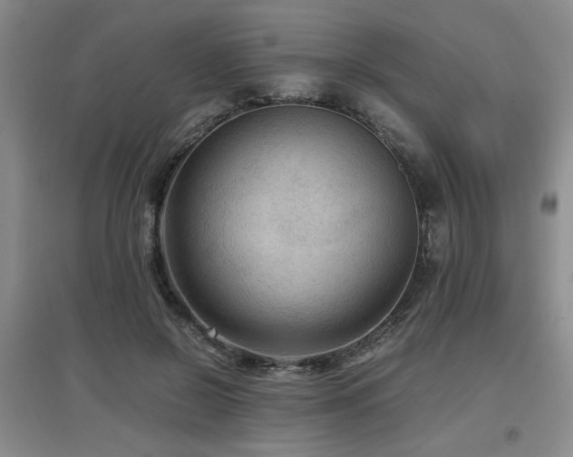 X0000097660550200802291429