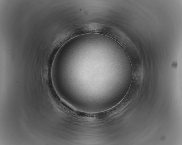 X0000097660552200802291429