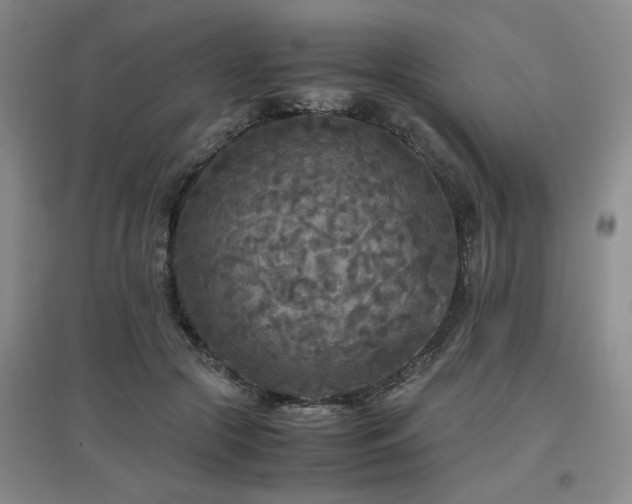 X0000097660553200802291429