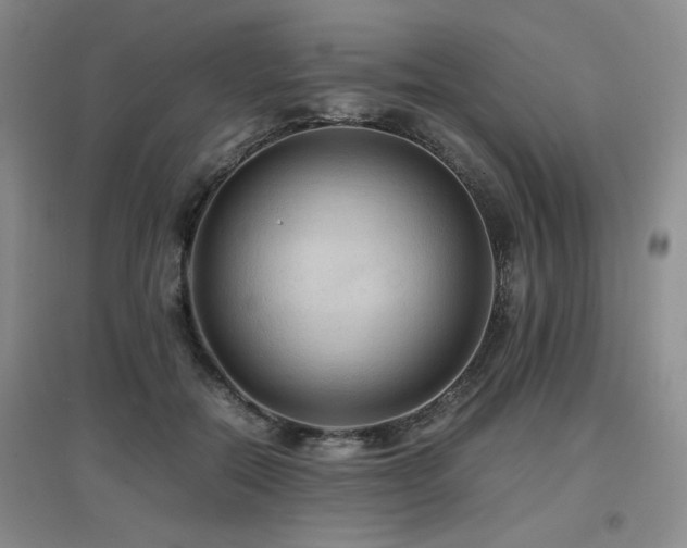 X0000097660554200802291429