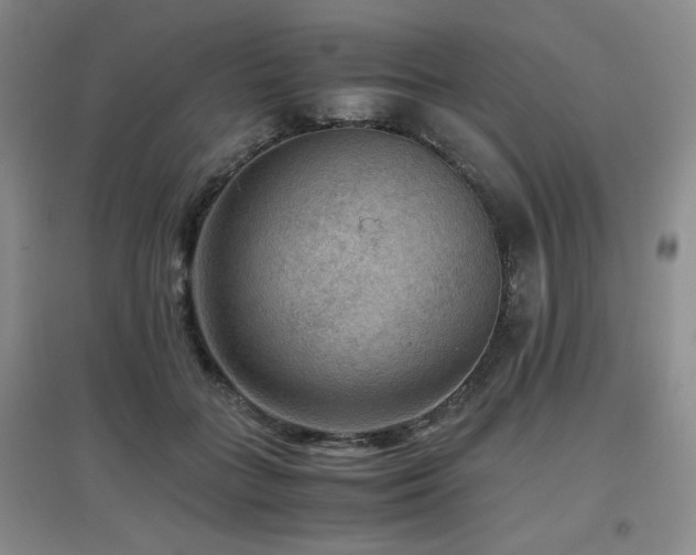X0000097660555200802291429
