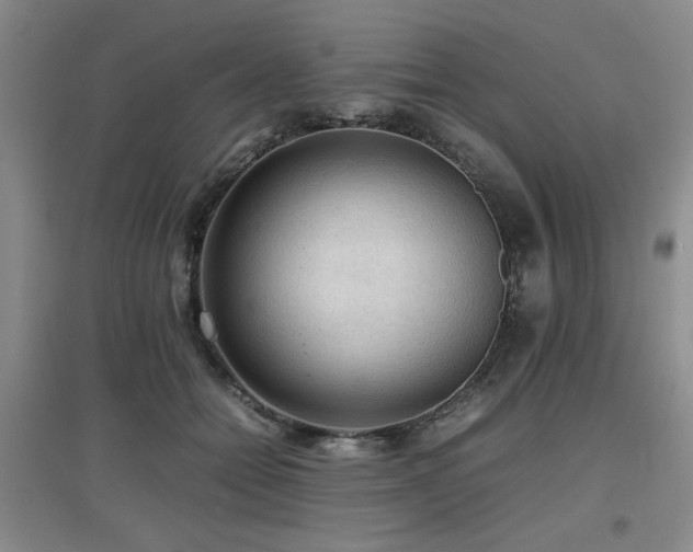 X0000097660558200802291429