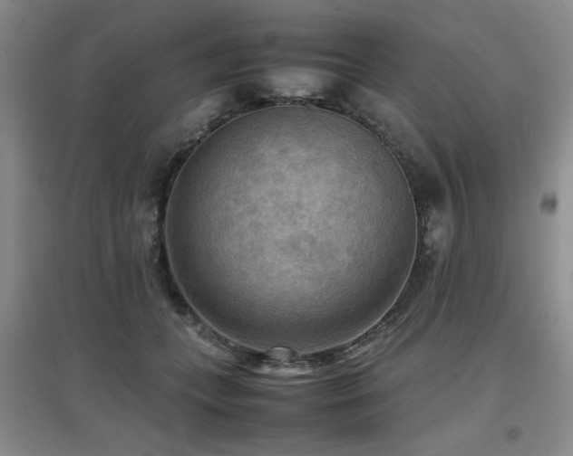 X0000097660559200802291429