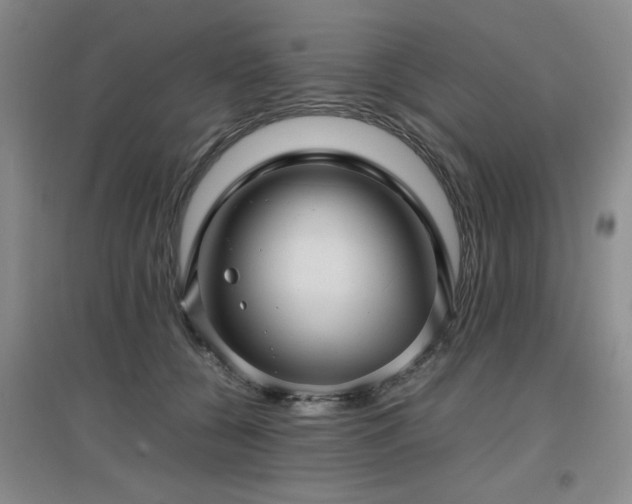 X0000097660560200802291429