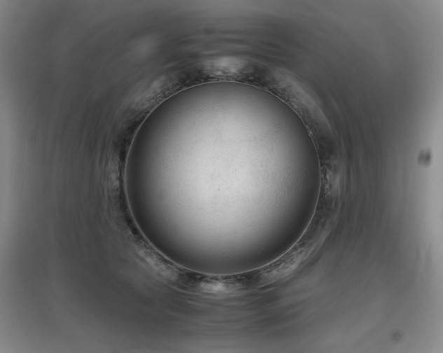 X0000097660561200802291429