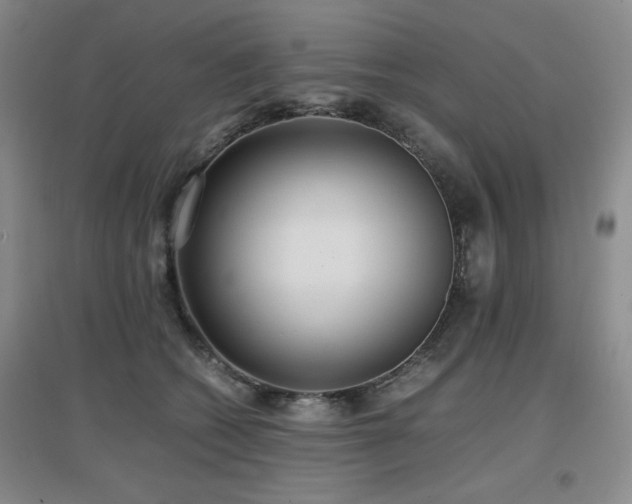 X0000097660562200802291429