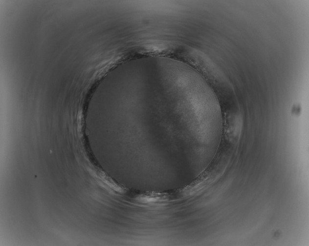 X0000097660563200802291429
