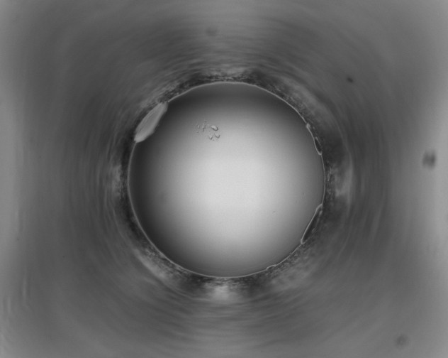 X0000097660564200802291429