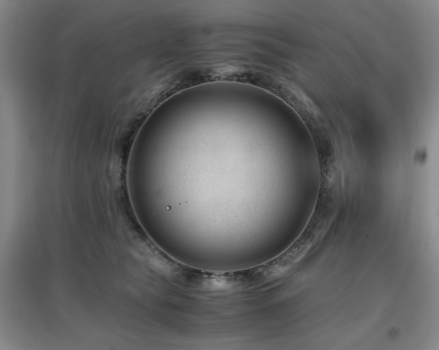 X0000097660565200802291429