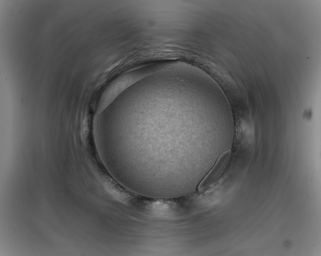 X0000097660566200802291429