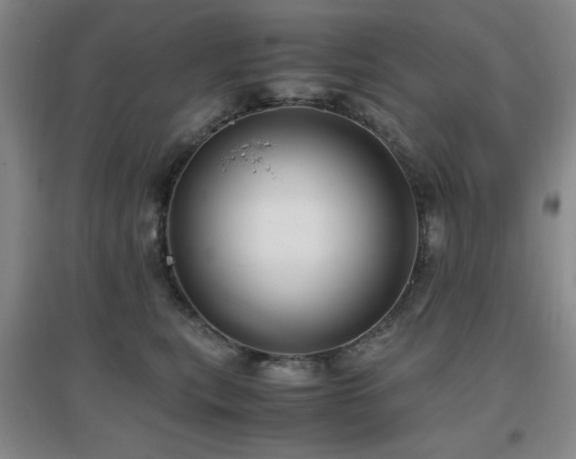 X0000097660567200802291429