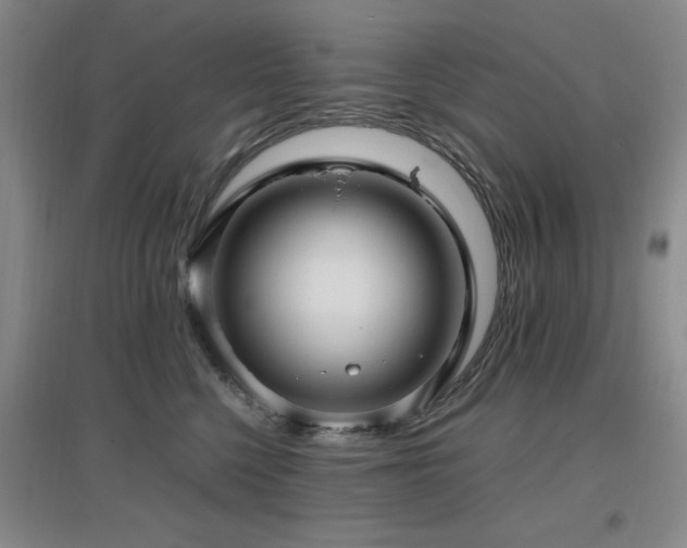 X0000097660568200802291429