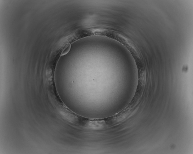 X0000097660571200802291429