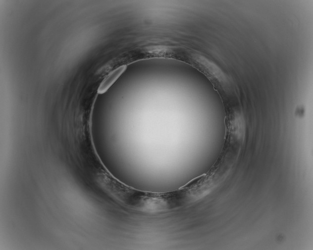 X0000097660572200802291429