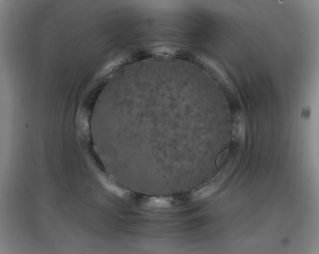 X0000097660573200802291429