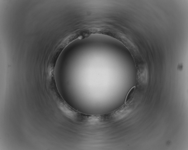 X0000097660574200802291429