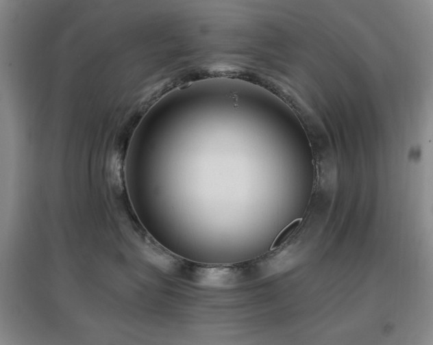 X0000097660575200802291429