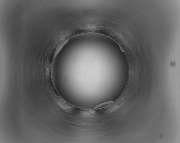 X0000097660576200802291429