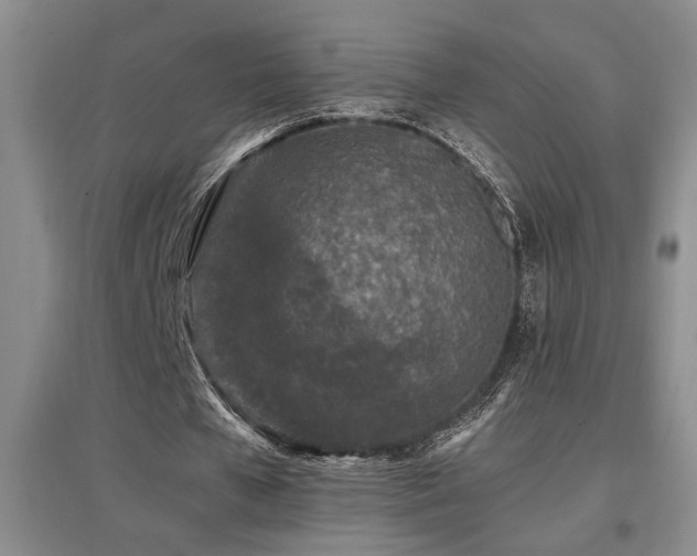 X0000097660577200802291429