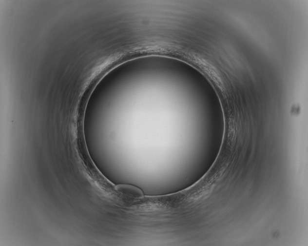X0000097660578200802291429