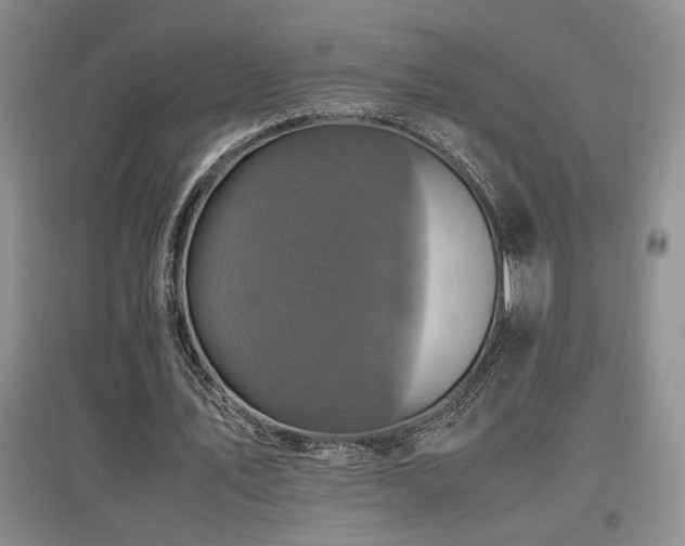 X0000097660579200802291429