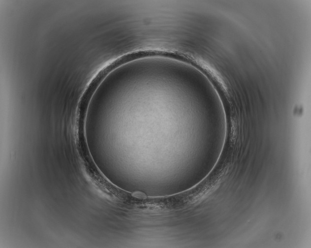 X0000097660580200802291429