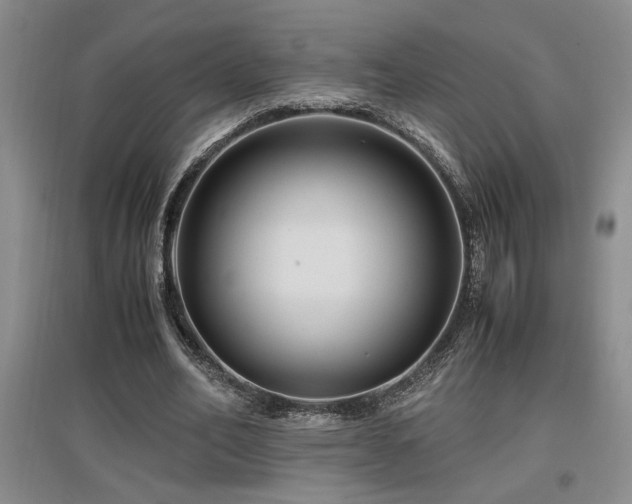 X0000097660582200802291429