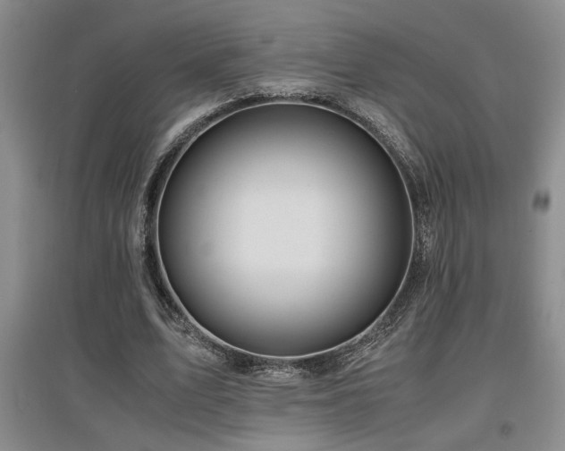 X0000097660583200802291429
