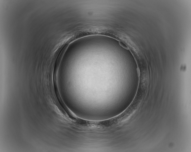X0000097660585200802291429