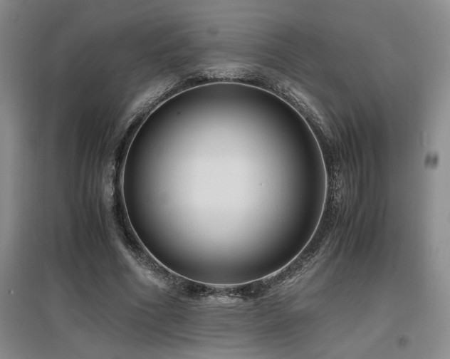 X0000097660586200802291429