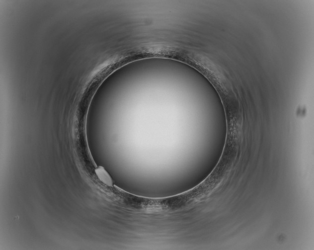 X0000097660587200802291429