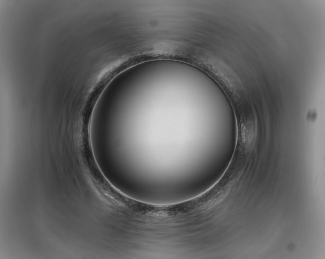 X0000097660588200802291429