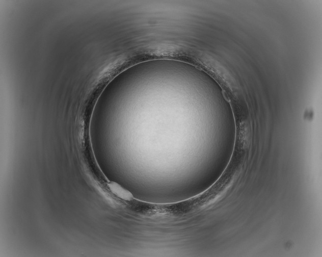 X0000097660589200802291429