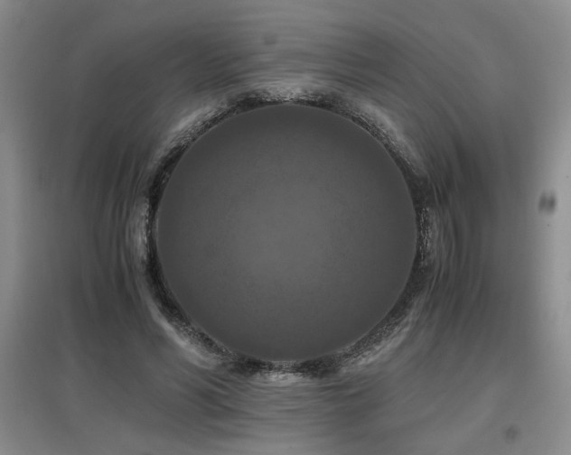 X0000097660590200802291429