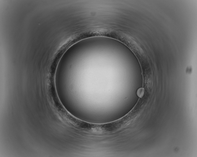 X0000097660591200802291428