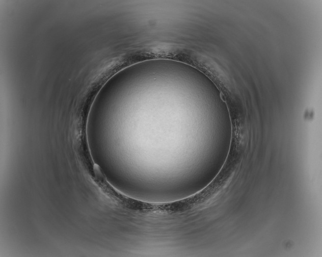 X0000097660593200802291428