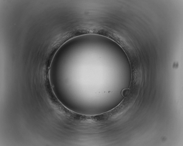 X0000097660594200802291428