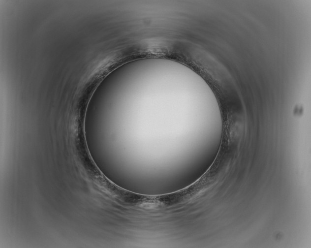 X0000097660595200802291428