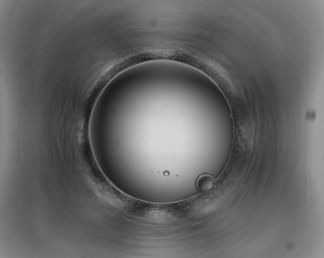 X0000097660596200802291428