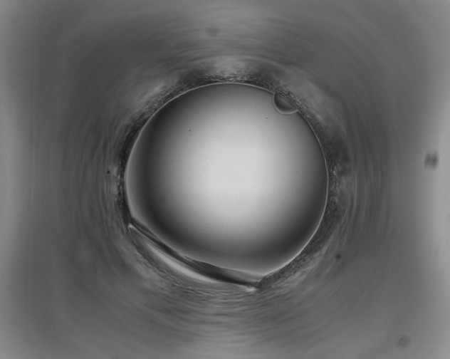 X0000097660597200802291428