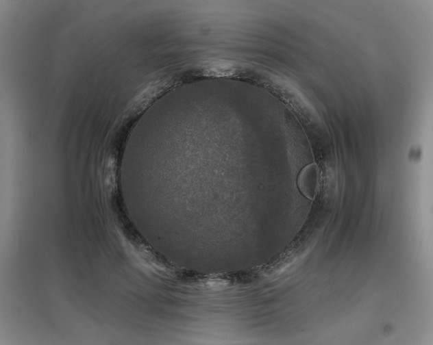 X0000097660598200802291428