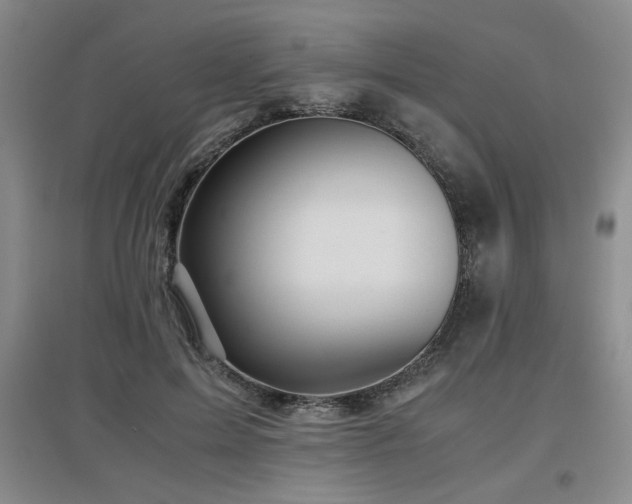 X0000097660599200802291428