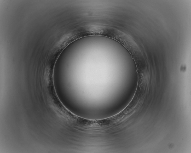 X0000097660600200802291428