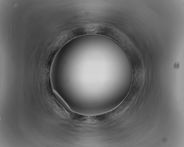 X0000097660601200802291428