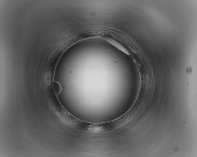 X0000097660602200802291428