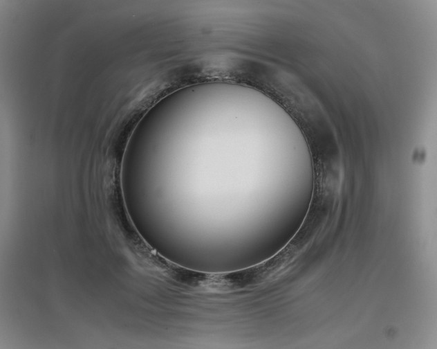 X0000097660603200802291428