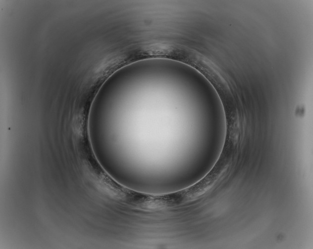 X0000097660604200802291428