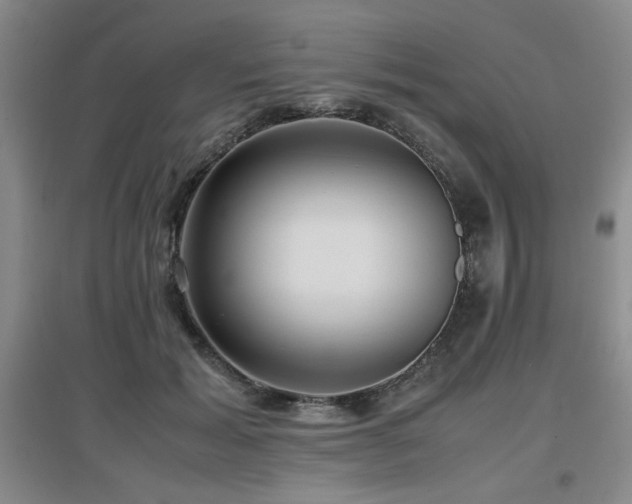 X0000097660605200802291428