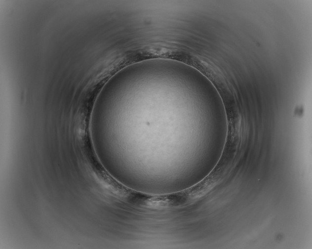X0000097660606200802291428